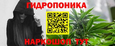 трава Севастополь