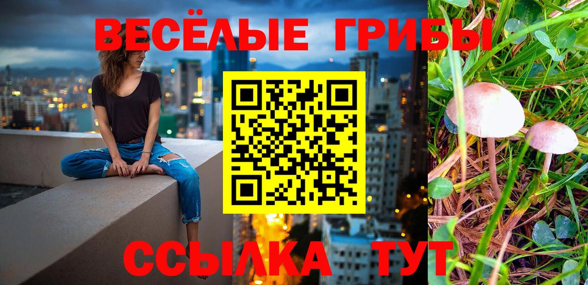 Псилоцибиновые грибы Psilocybine cubensis  Вход с VPN  Псилоцибиновые грибы мицелий  Подольск 